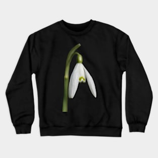 The Snowdrop Crewneck Sweatshirt